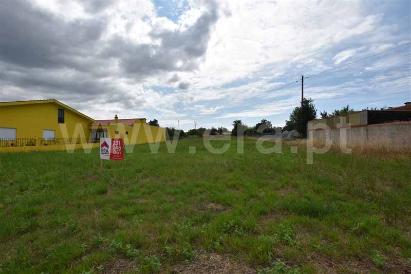 Terreno  Anadia, São Lourenço do Bairro - 1329906 - 6