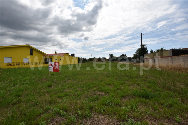 Terreno  Anadia, São Lourenço do Bairro - 1329906 - 7
