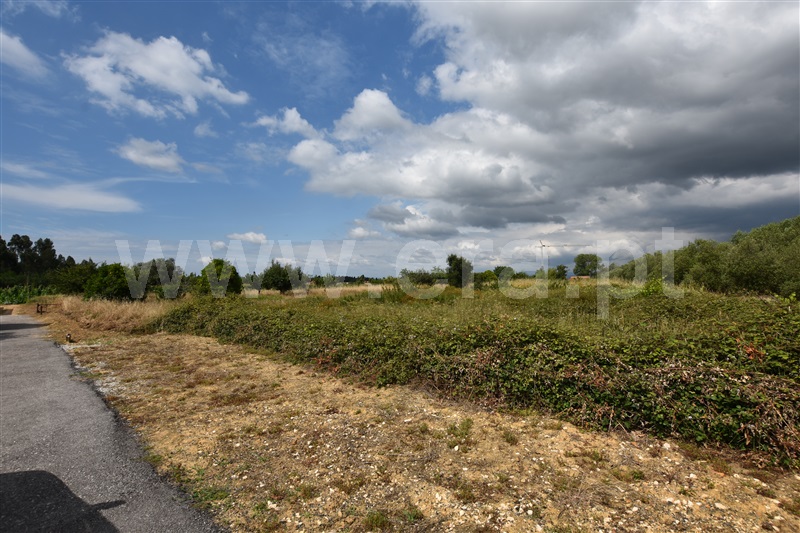 Terreno  Anadia, São Lourenço do Bairro - 1329906 - 10