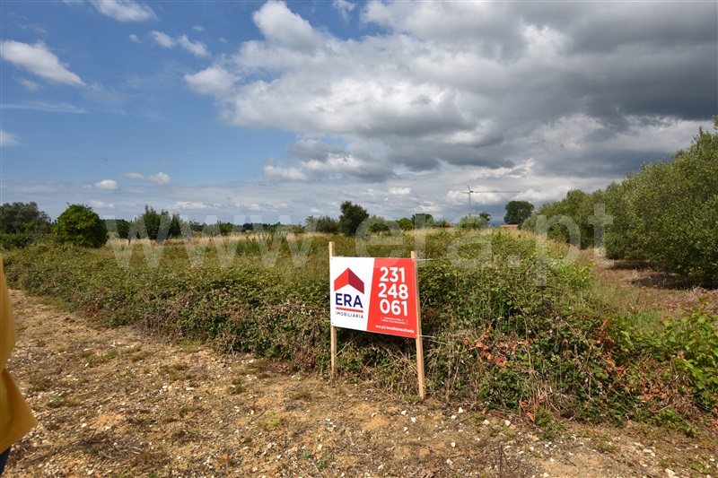 Terreno  Anadia, São Lourenço do Bairro - 1329906 - 11