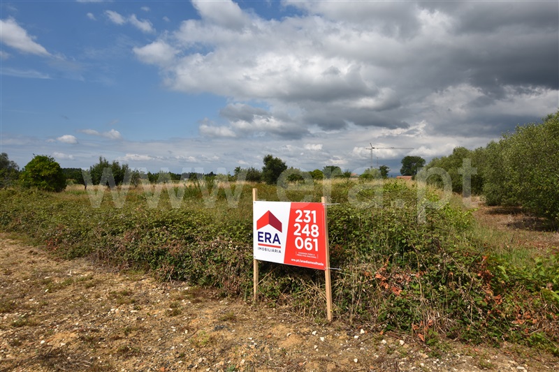 Terreno  Anadia, São Lourenço do Bairro - 1329906 - 12