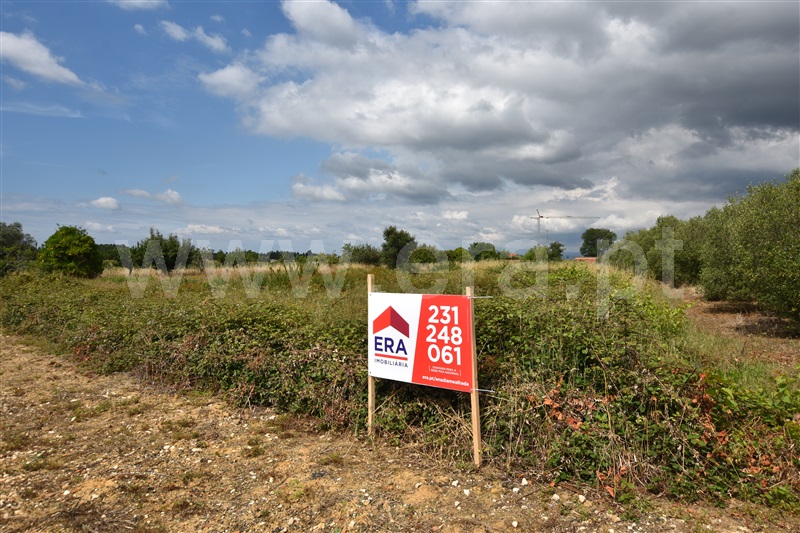 Terreno  Anadia, São Lourenço do Bairro - 1329906 - 13
