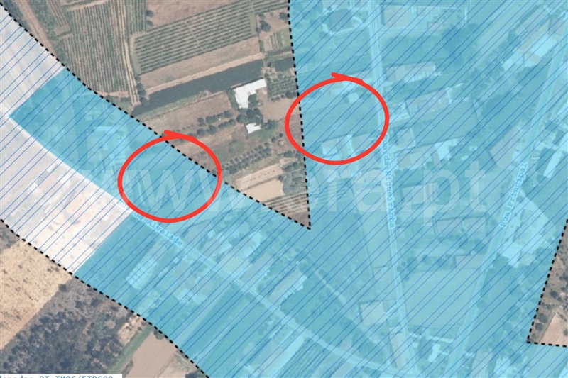 Terreno  Anadia, Pedralva - 1329906 - 13