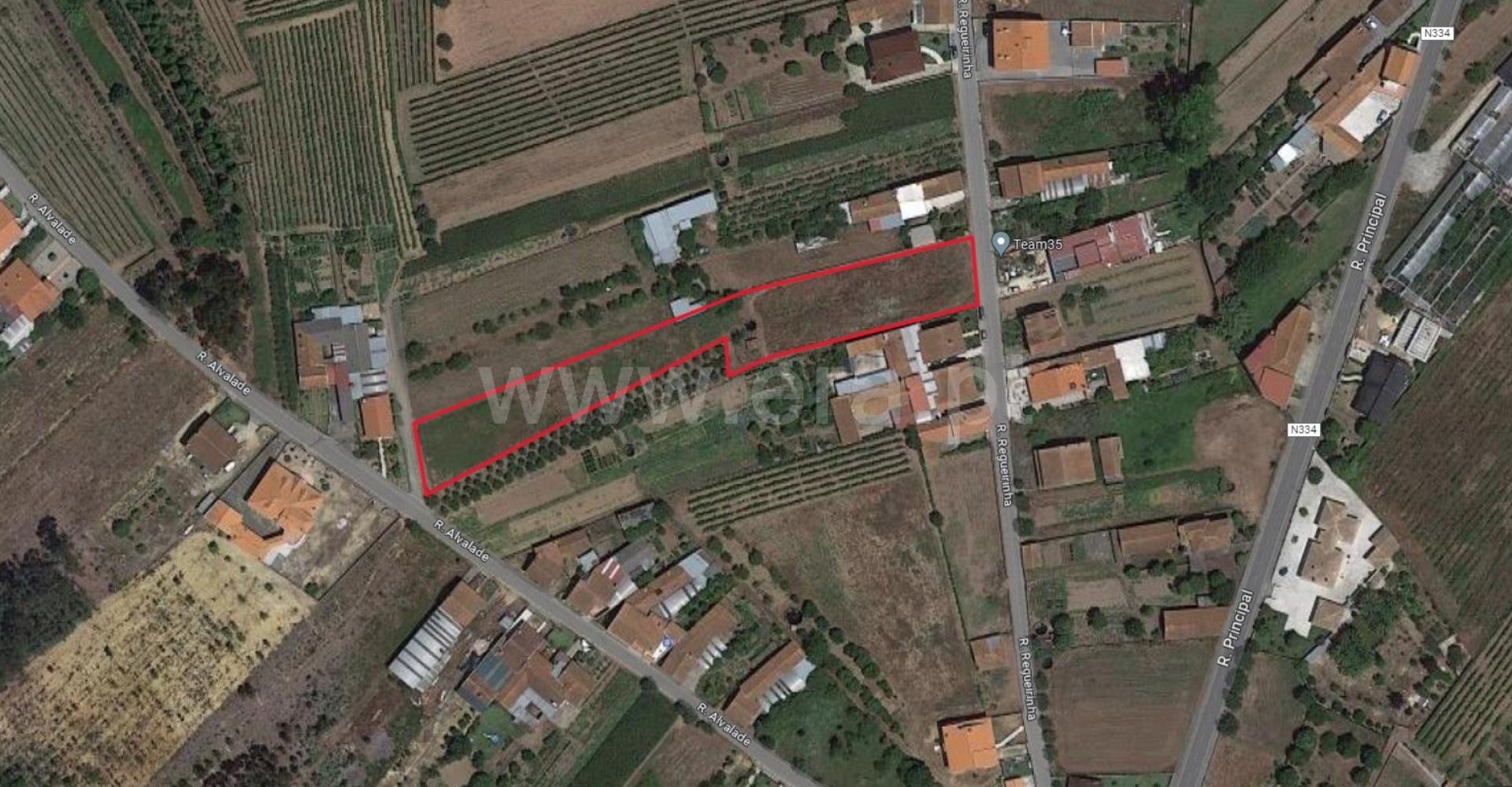 Land for sale in Anadia, Portugal — €72,000