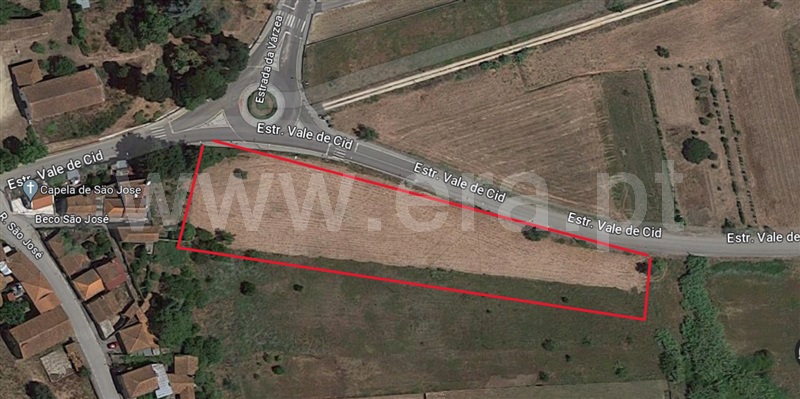 Terreno / Anadia, Tamengos, Aguim e Óis do Bairro