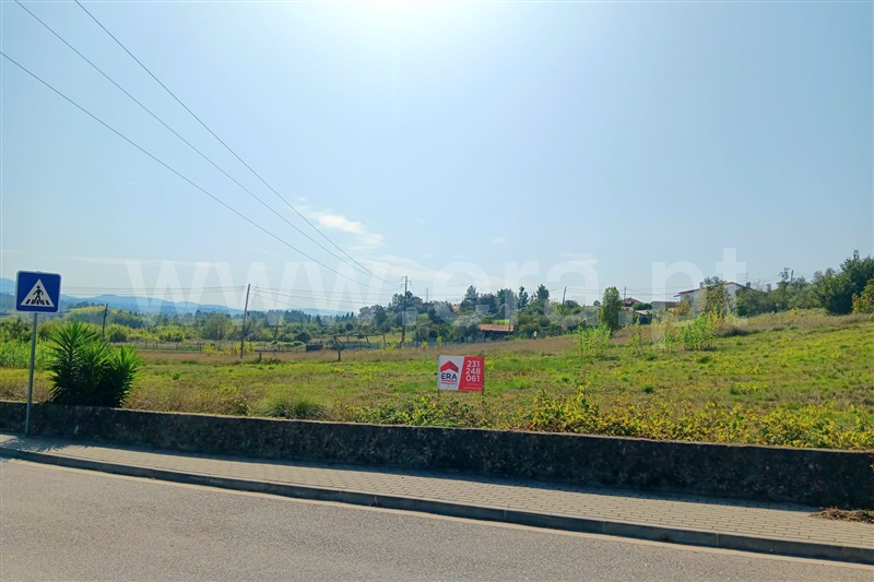 Terreno  Anadia, Tamengos, Aguim e Óis do Bairro - 1358049 - 7