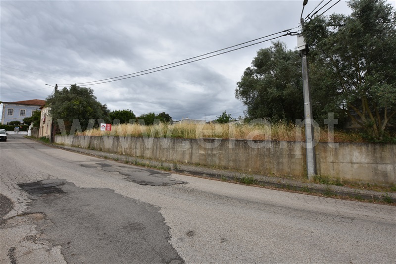 Terreno  Anadia, Vila Nova de Monsarros - 1240794 - 3