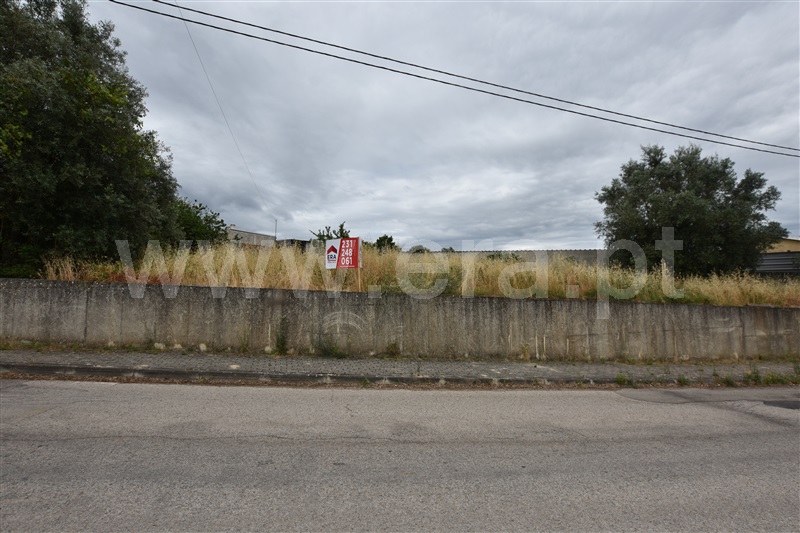 Terreno  Anadia, Vila Nova de Monsarros - 1240794 - 4