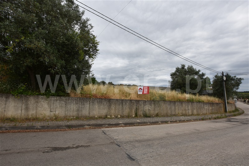 Terreno  Anadia, Vila Nova de Monsarros - 1240794 - 5
