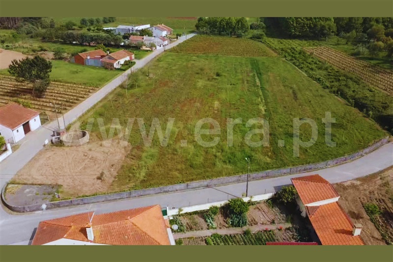 Terreno / Anadia, Vilarinho do Bairro
