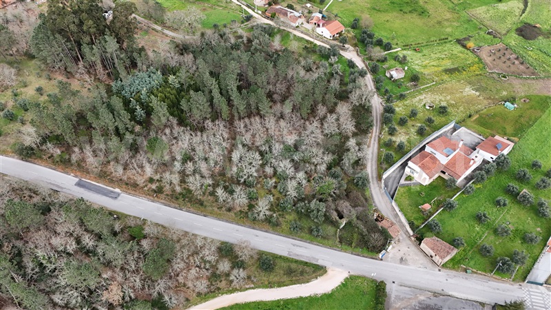 Terreno / Ansião, ANSIÃO