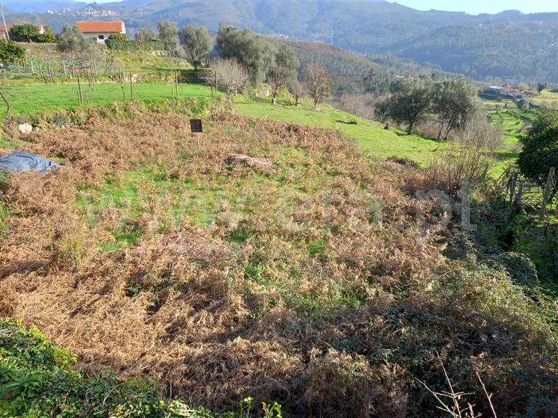 Terreno / Arcos de Valdevez, Alvora e Loureda