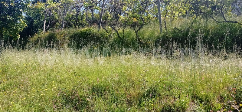 Terreno  Arcos de Valdevez, Aguiã - 1254437 - 3