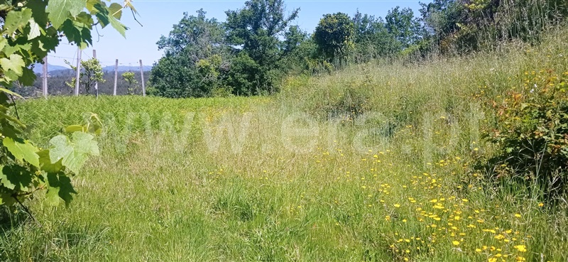 Terreno  Arcos de Valdevez, Aguiã - 1254437 - 6