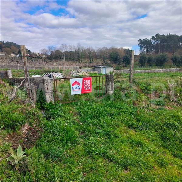 Terreno / Arcos de Valdevez, Gondoriz
