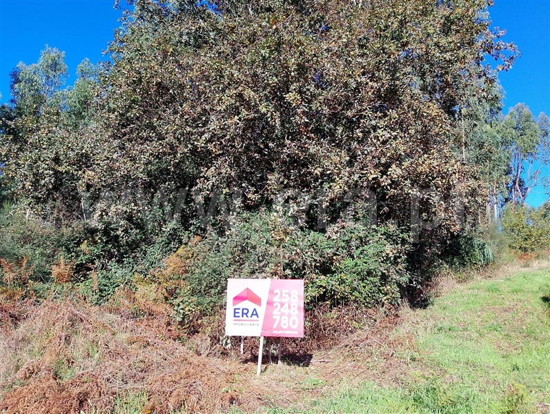 Terreno / Arcos de Valdevez, Guilhadeses e Santar