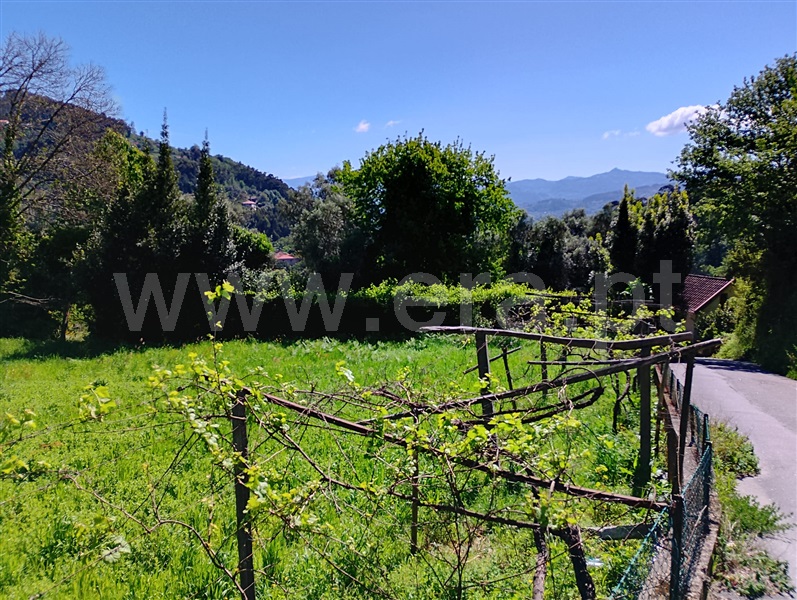 Terreno  Arcos de Valdevez, Jolda (Madalena) e Rio Cabrão - 1478050 - 1