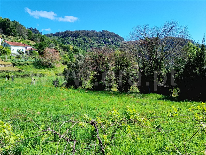 Terreno / Arcos de Valdevez, Jolda (Madalena) e Rio Cabrão