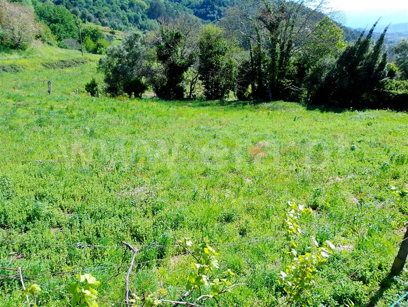 Terreno  Arcos de Valdevez, Jolda (Madalena) e Rio Cabrão - 1478050 - 6