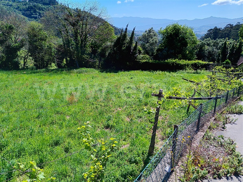 Terreno  Arcos de Valdevez, Jolda (Madalena) e Rio Cabrão - 1478050 - 7