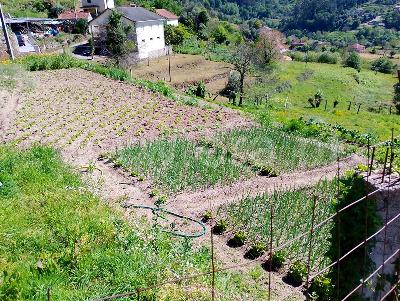 Terreno  Arcos de Valdevez, Jolda (Madalena) e Rio Cabrão - 1478050 - 9