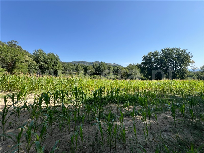 Terreno  Arcos de Valdevez, Jolda (São Paio) - 1492015 - 4