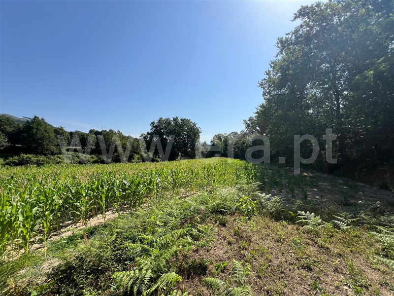 Terreno  Arcos de Valdevez, Jolda (São Paio) - 1492015 - 5