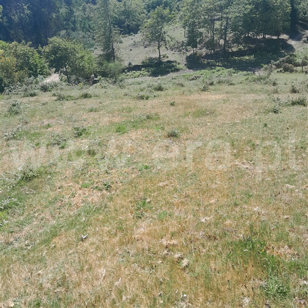 Terreno  Arcos de Valdevez, Miranda - 1376926 - 3