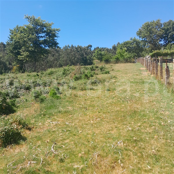 Terreno  Arcos de Valdevez, Miranda - 1376926 - 5