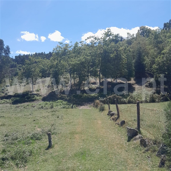 Terreno  Arcos de Valdevez, Miranda - 1376926 - 6