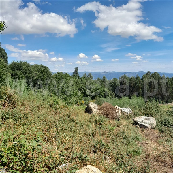Terreno  com Rústico Arcos de Valdevez, Miranda - 1376933 - 3
