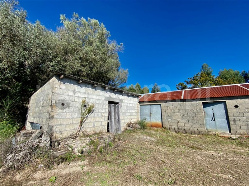 Terreno / Arcos de Valdevez, Padreiro (Salvador e Santa Cristina)
