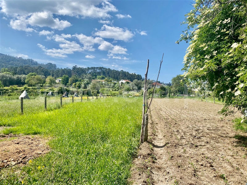 Terreno  Arcos de Valdevez, Prozelo - 1246477 - 3