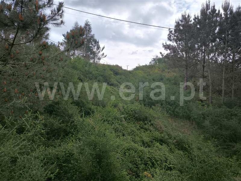 Terreno  Arcos de Valdevez, Rio de Moinhos - 1475097 - 4