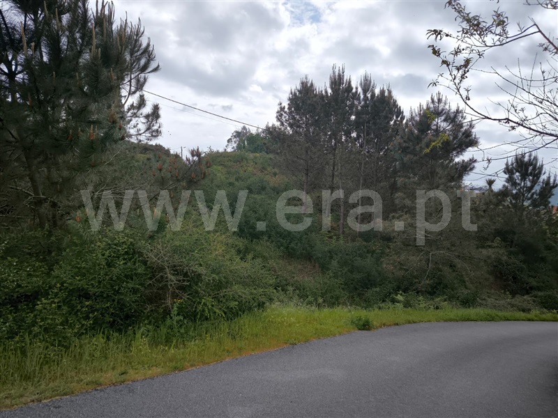 Terreno  Arcos de Valdevez, Rio de Moinhos - 1475097 - 6