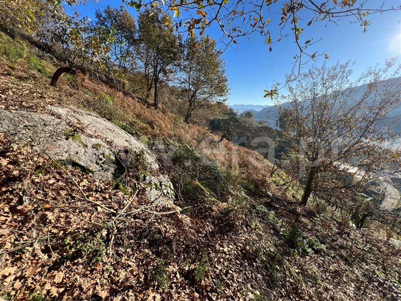 Terreno  Arcos de Valdevez, Rio Frio - 1190327 - 1