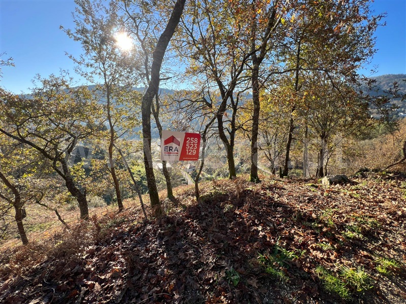 Terreno / Arcos de Valdevez, Rio Frio