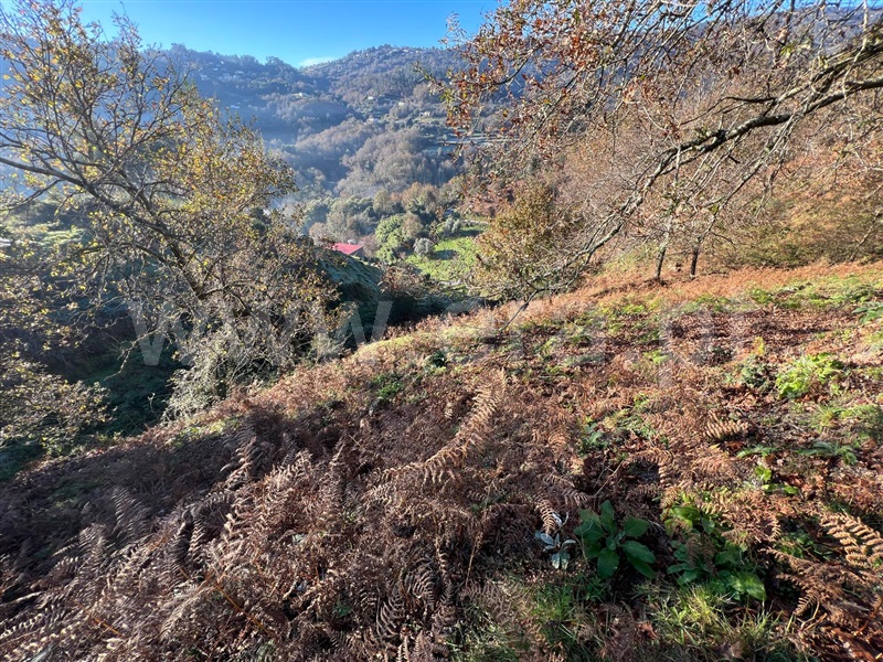 Terreno  Arcos de Valdevez, Rio Frio - 1190327 - 3