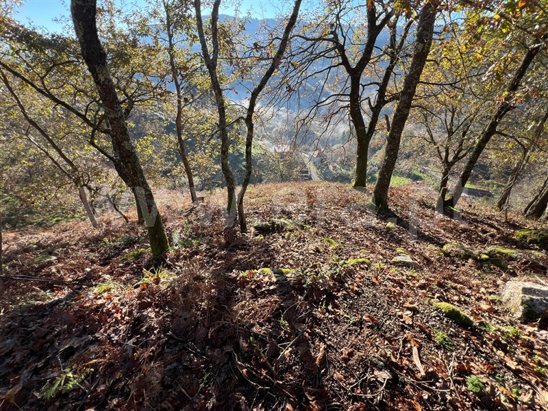 Terreno  Arcos de Valdevez, Rio Frio - 1190327 - 4