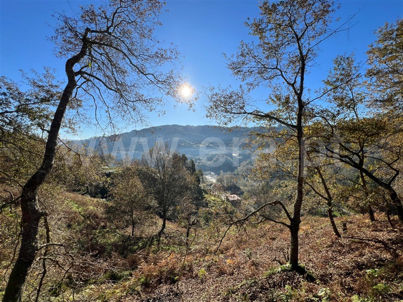 Terreno  Arcos de Valdevez, Rio Frio - 1190327 - 5