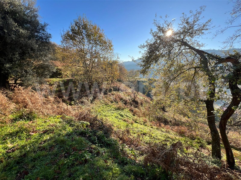 Terreno  Arcos de Valdevez, Rio Frio - 1190327 - 6