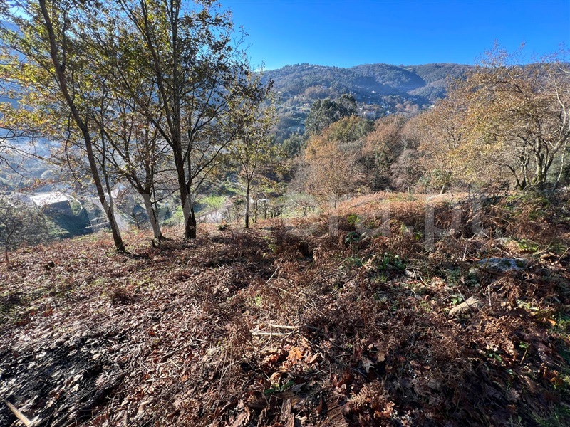 Terreno  Arcos de Valdevez, Rio Frio - 1190327 - 7
