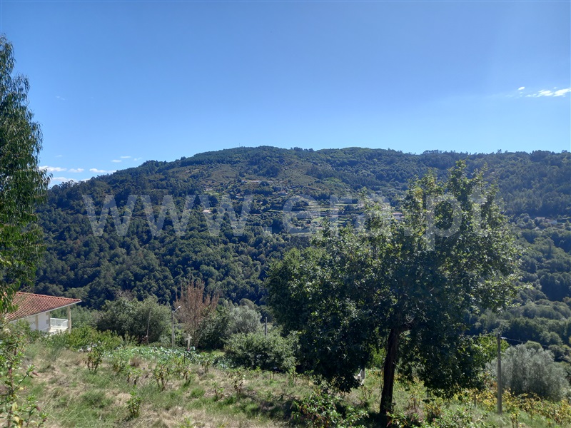 Terreno  Arcos de Valdevez, Rio Frio - 1276195 - 2
