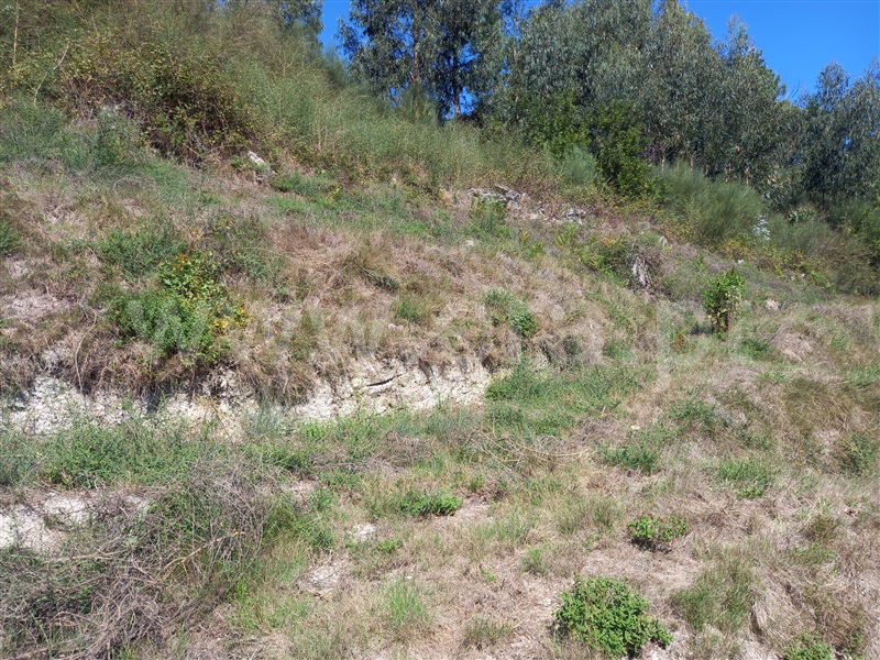Terreno  Arcos de Valdevez, Rio Frio - 1276195 - 3