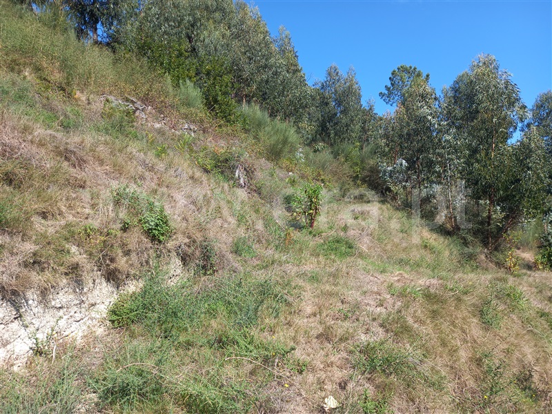 Terreno  Arcos de Valdevez, Rio Frio - 1276195 - 5