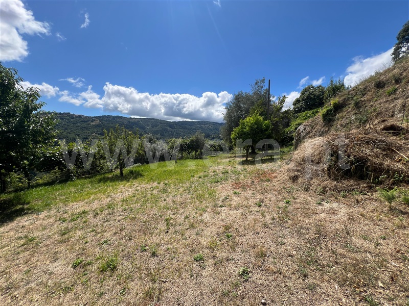 Terreno  Arcos de Valdevez, Rio Frio - 1495783 - 4