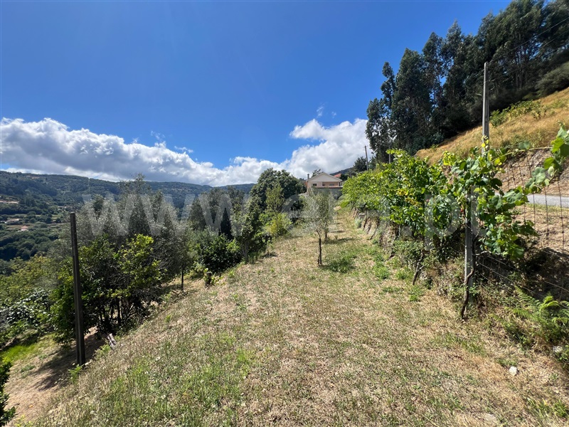 Terreno  Arcos de Valdevez, Rio Frio - 1495783 - 5