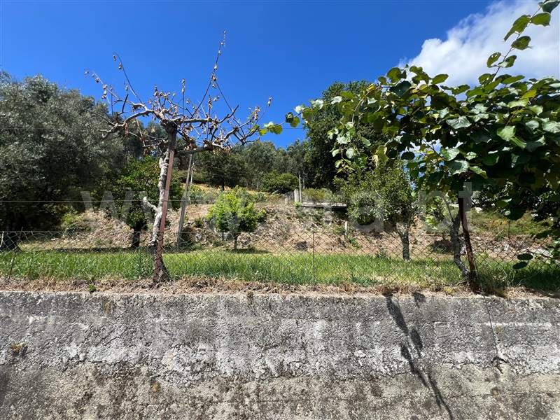 Terreno  Arcos de Valdevez, Rio Frio - 1495783 - 7