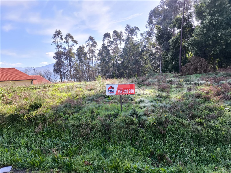 Terreno / Arcos de Valdevez, Sabadim