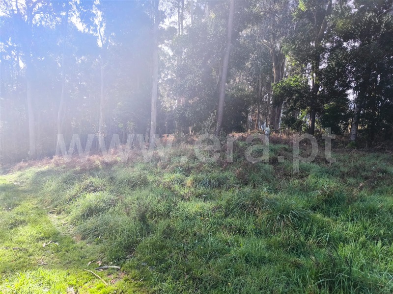 Terreno  Arcos de Valdevez, Sabadim - 1468544 - 3